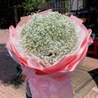HSN07-Hoa Sinh Nhật