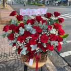 HSN24-Hoa Sinh Nhật