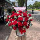 HSN27-Hoa Sinh Nhật