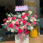 HSN29-Hoa Sinh Nhật