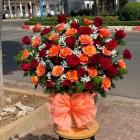 HSN40-Hoa Sinh Nhật