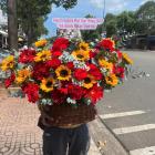 HKT33-HOA KHAI TRƯƠNG
