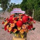 HKT35-HOA KHAI TRƯƠNG