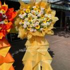 HKT54-HOA KHAI TRƯƠNG