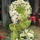 HCB15- Hoa Chia Buồn