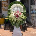 HCB29- Hoa Chia Buồn