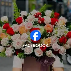 Hoa Tươi Đất Đỏ Vũng Tàu | Hoa Tươi Anna Đất Đỏ Bà Rịa Vũng Tàu | Shop Hoa Tươi Đất Đỏ Bà Rịa Vũng Tàu