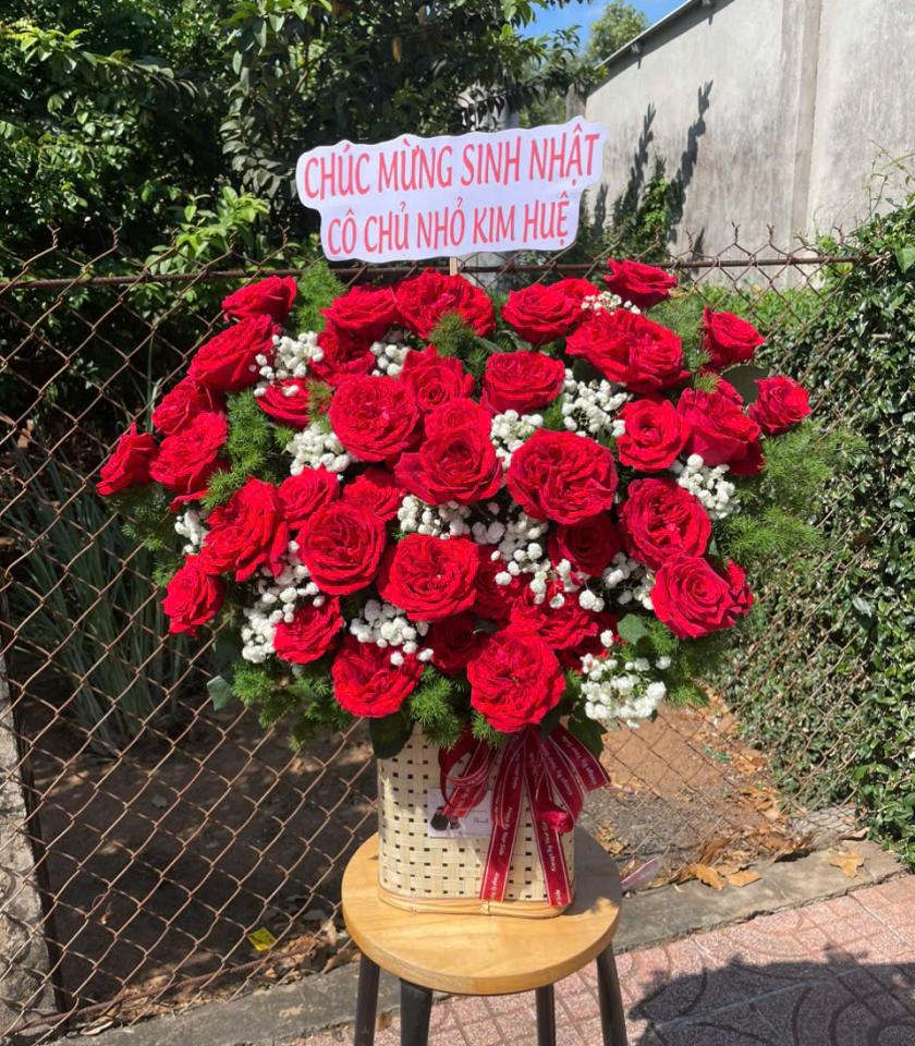 HSN42-Hoa Sinh Nhật