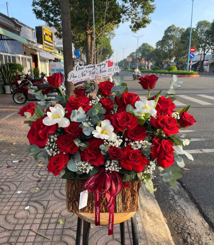 HKT05-HOA KHAI TRƯƠNG