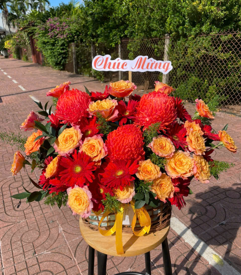 HKT39-HOA KHAI TRƯƠNG