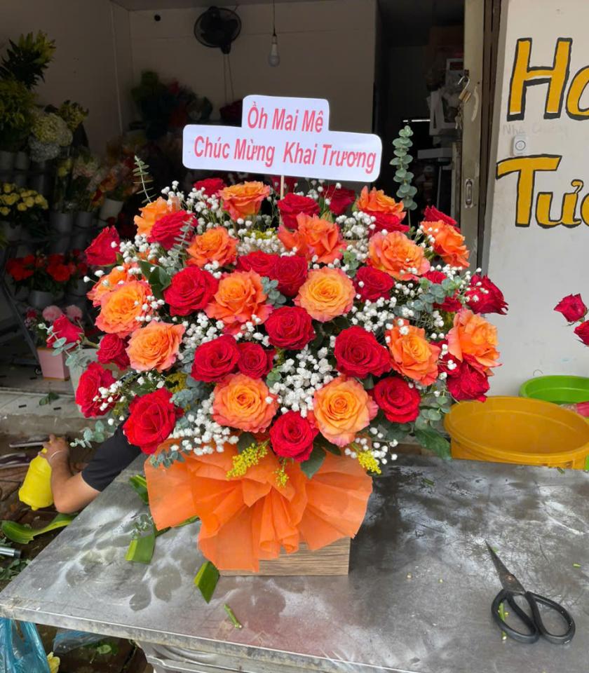 HKT40-HOA KHAI TRƯƠNG