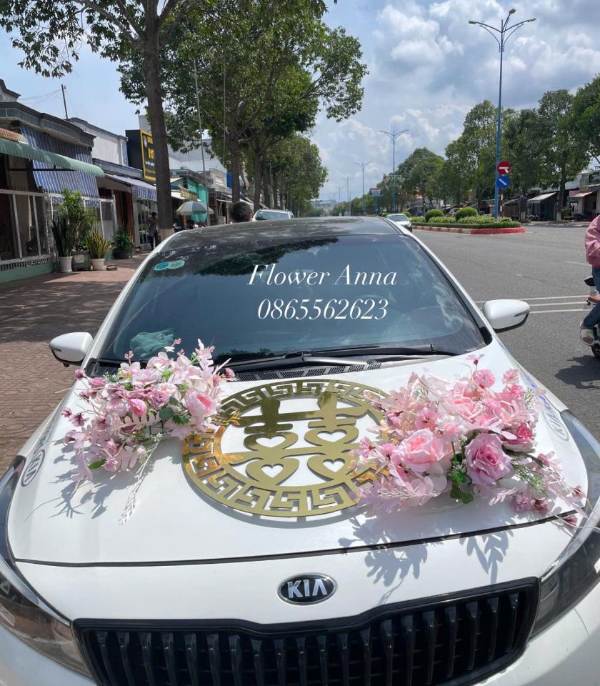 MXH02-Mẫu Xe Hoa